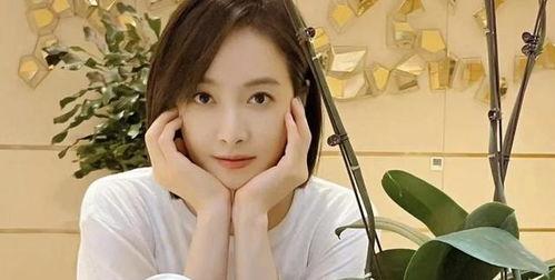 刘大锤最新爆料直播杨洋,杨洋幕后故事大曝光 第3张 刘大锤最新爆料直播杨洋,杨洋幕后故事大曝光 第3张